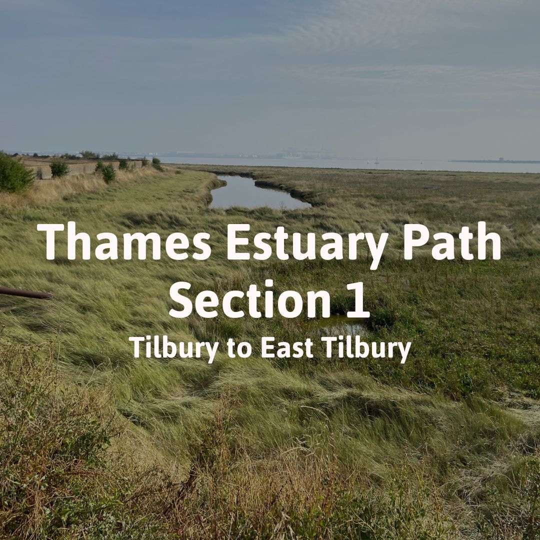 Thames Estuary Path Section 1