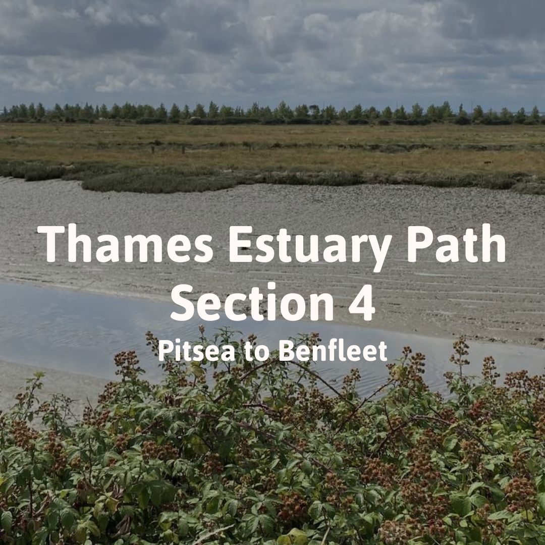 Thames Estuary Path Section 4