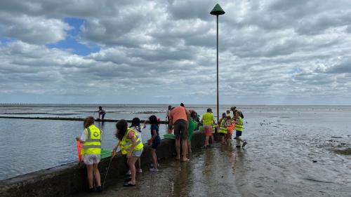 Group of people on beach taking part in Beach School Safari in hi-vis jackets