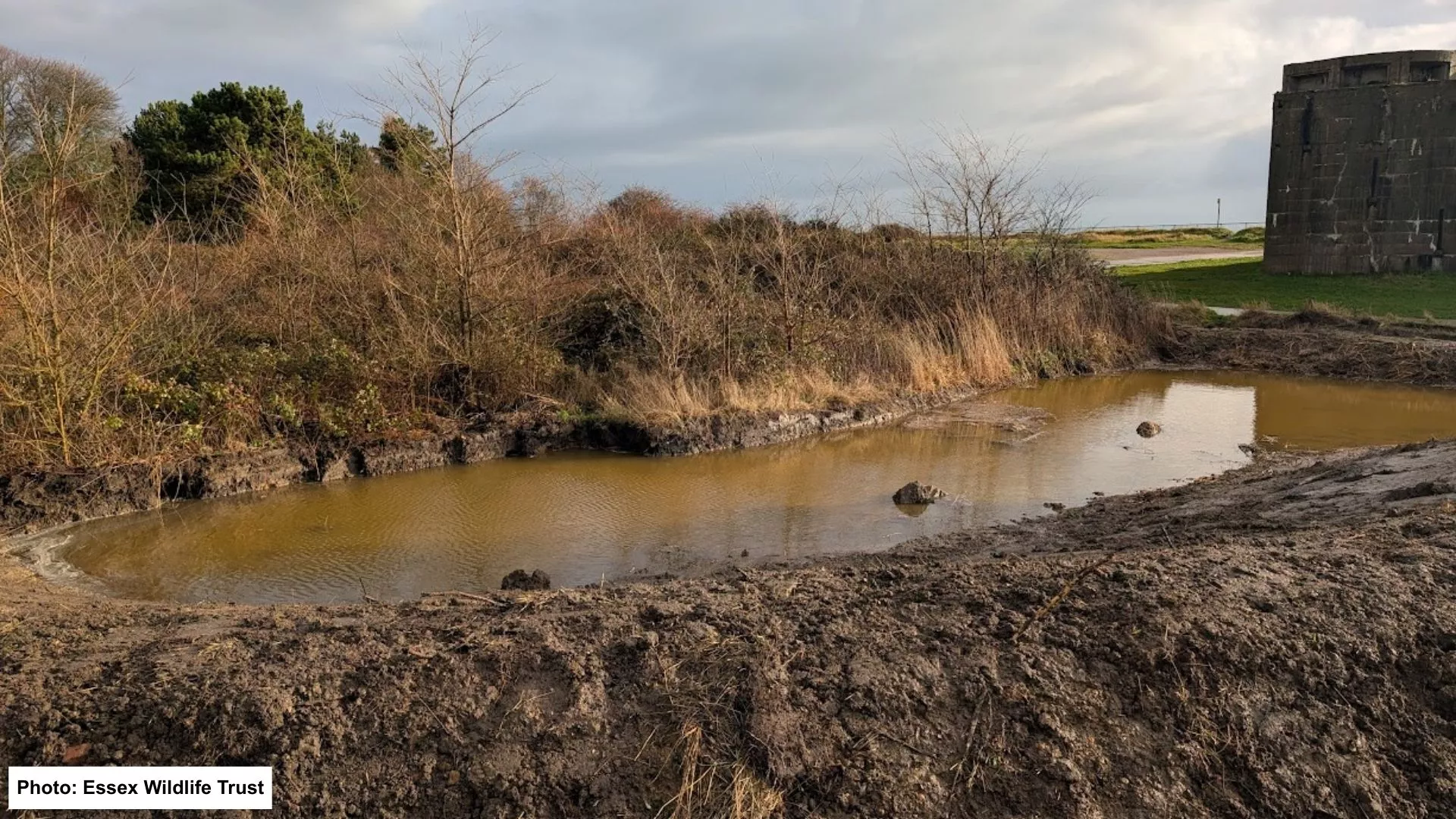 Firecrest Scrape Essex Wildlife Trust Thames Environment Fund winners